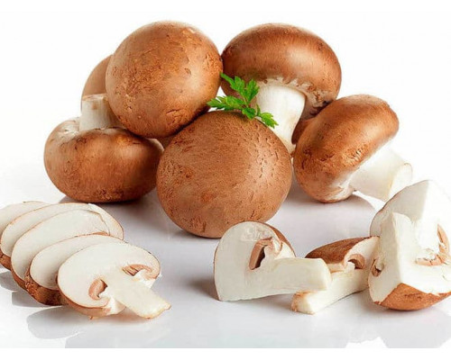 Шампіньйони королівські